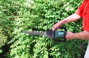 hedge-trimming-barnes